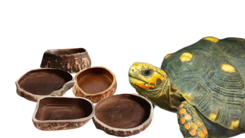 Miseczka ceramiczna na wodę lub pokarm dla gadów - różne rozmiary miseczka ceramiczna dla gadów miseczka ceramiczna na wodę