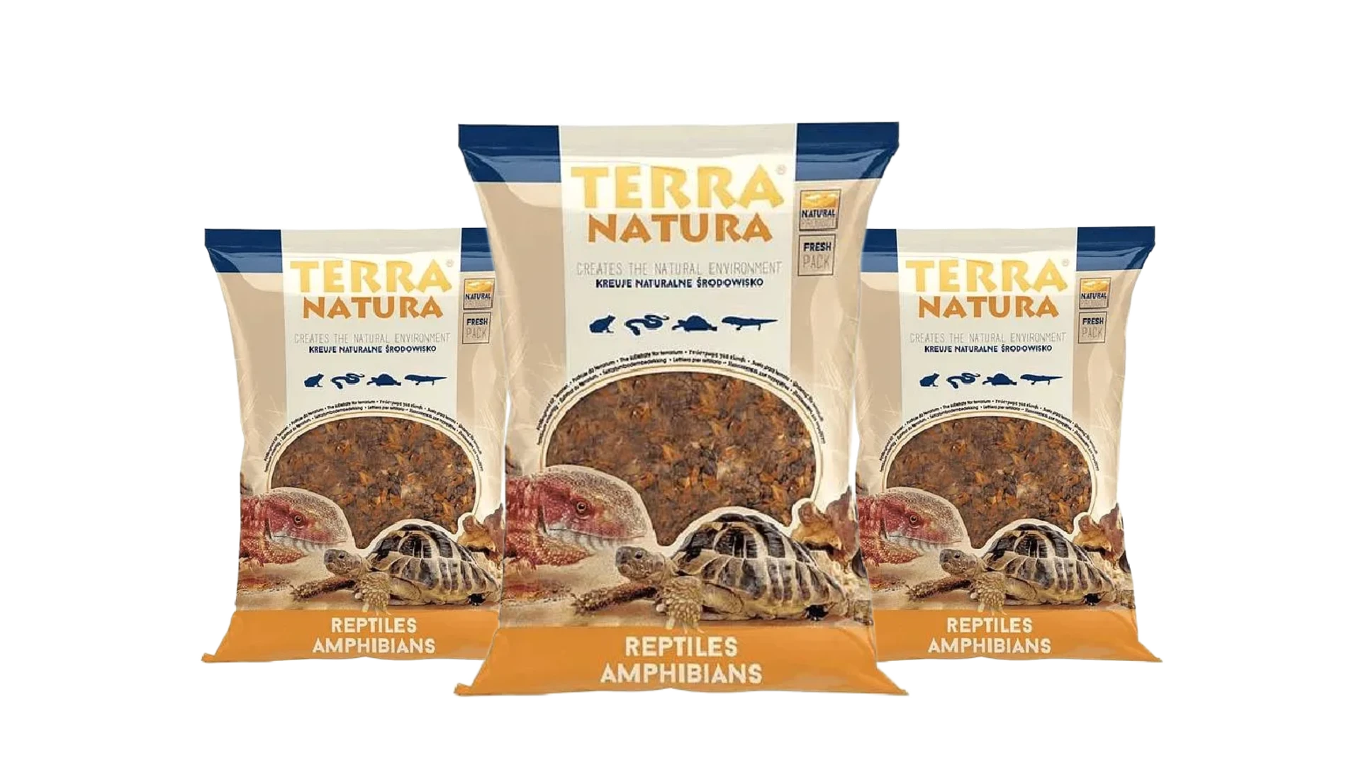 kora terra natura Kora do terrarium