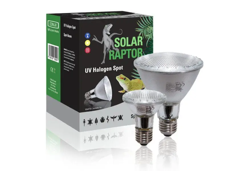 Żarówka halogenowa Solar Raptor UVA