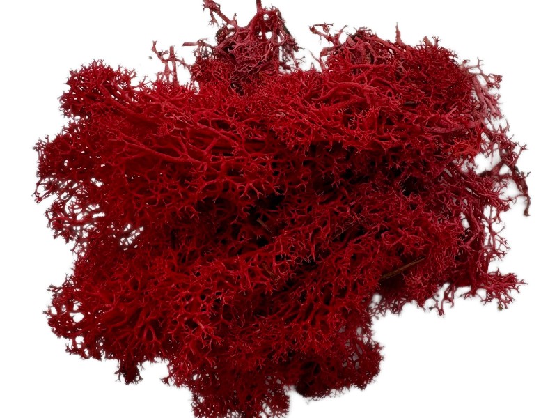 mech chrobotek czerwony