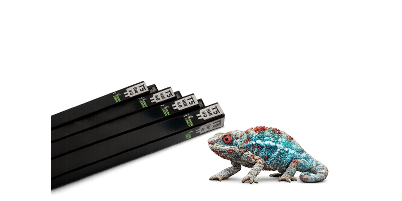 świetlówka T5 dla kameleona