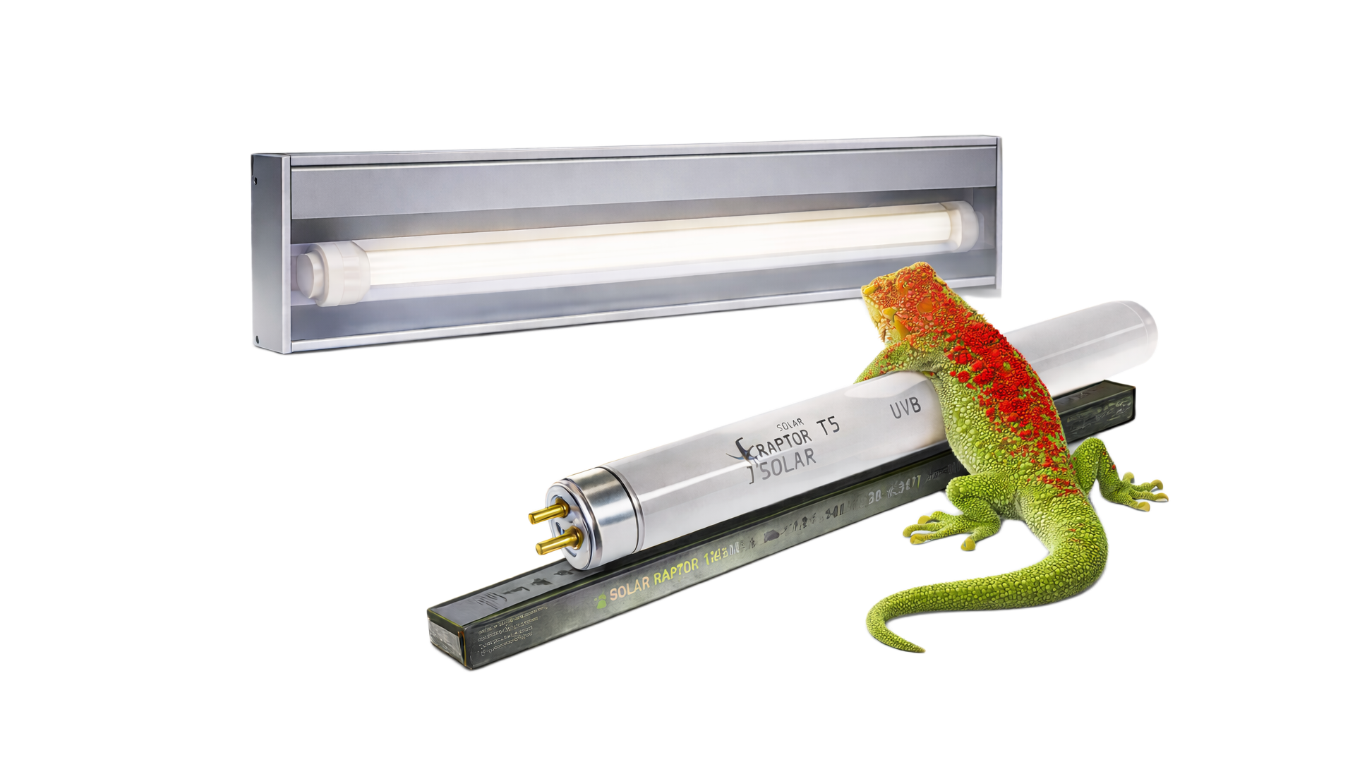 uvb dla agamy brodatej