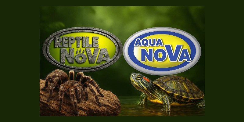 marka Reptyle I Aqua Nova W Lesie