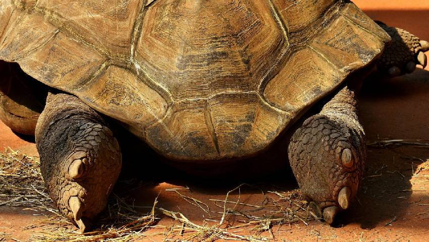 Strona Główna Strona Główna