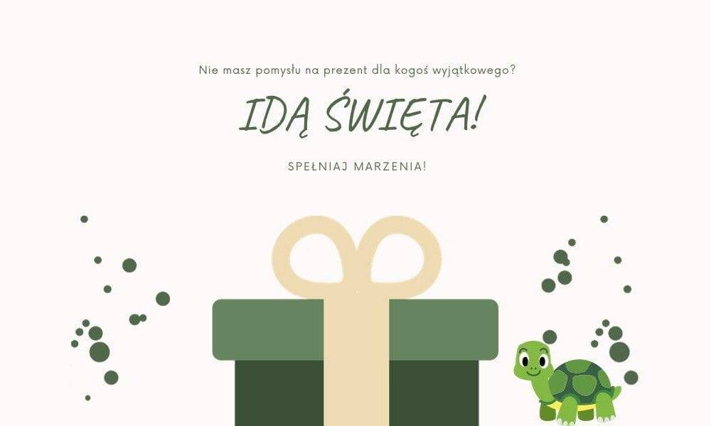 Strona Główna pomysł na prezent świąteczny