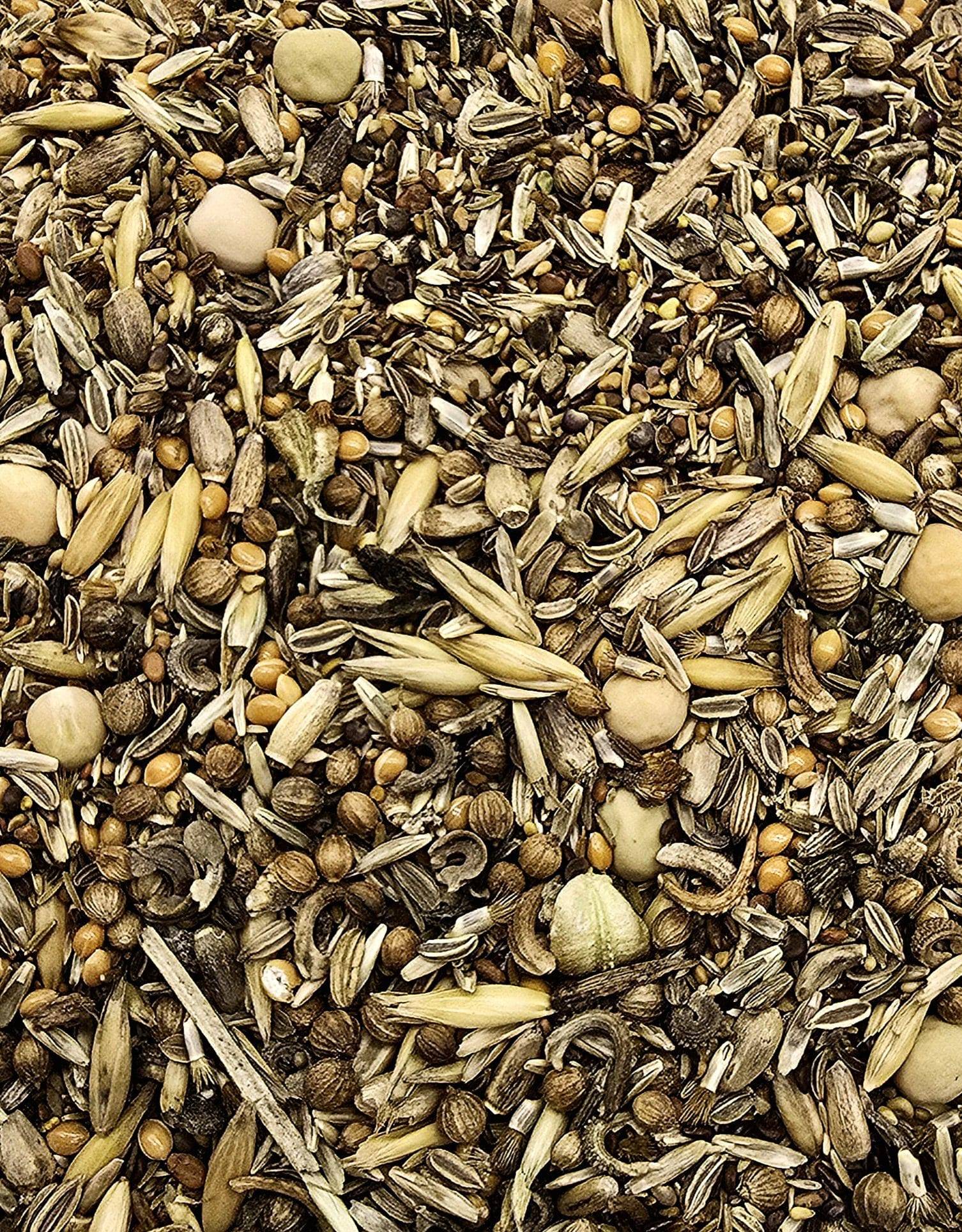 Strona Główna Opuncja dla żółwia lądowego