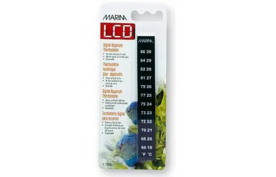 Marina Minerva LCD