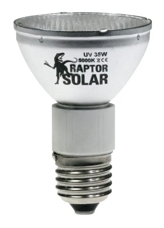 Solar Raptor 35W mini