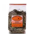 babka lancetowata