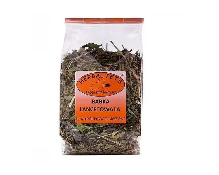 babka lancetowata