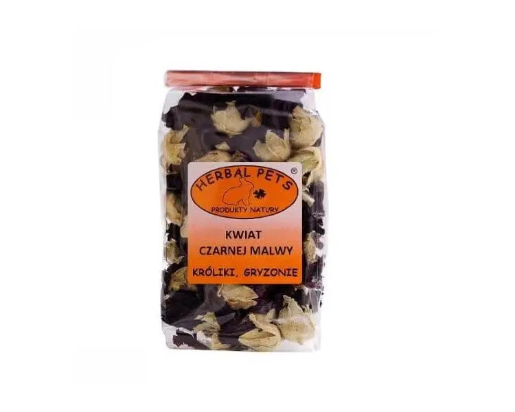 kwiat czarnej malwy