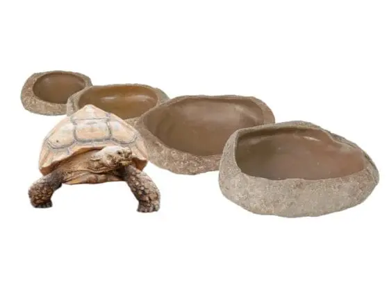 miska na wodę lub pokarm Trixie miska do terrarium miska dla żółwia