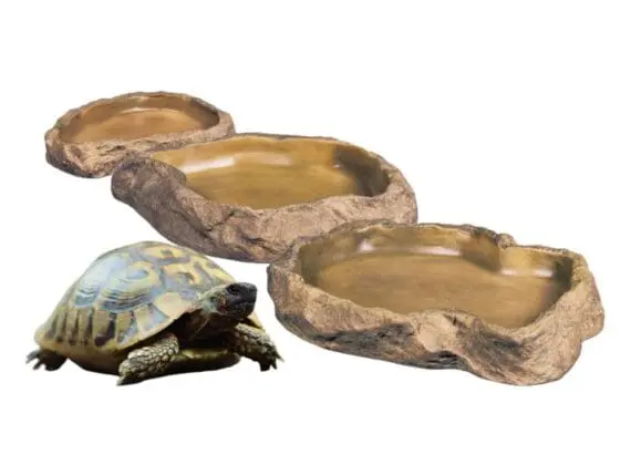 miseczka na pokarm exoterra