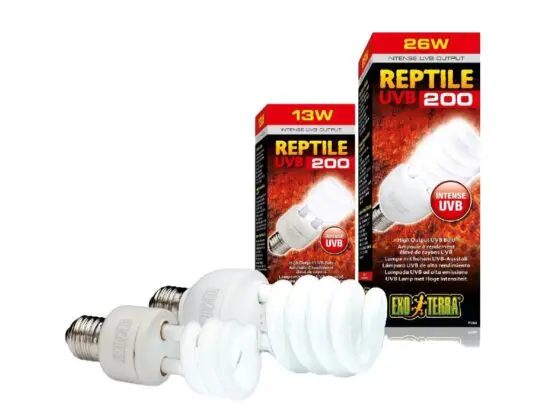 reptile uvb 200 exoterra