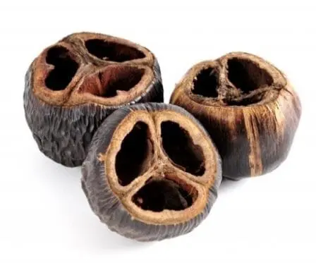 Talami naturalne susz ozdobny