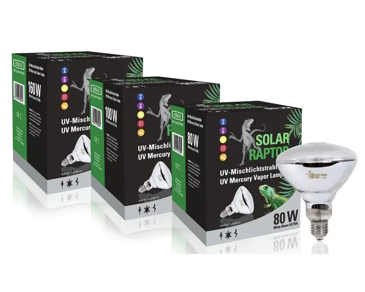 solar raptor mvl