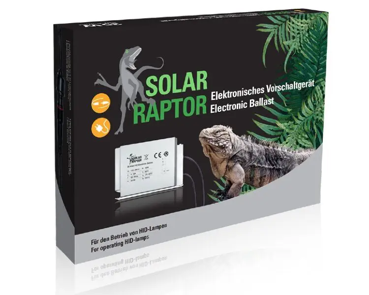 statecznik solar raptor