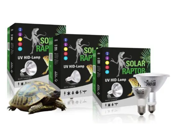 solar raptor 35w flood
