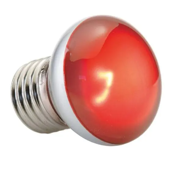 Nano ExoTerra Infrared Basking