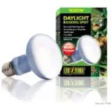 Daylight Basking Spot 100W | Żarówka Żarówka grzewcza Intense Basking grzewcza