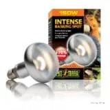 Żarówka Intense Basking Spot 150W