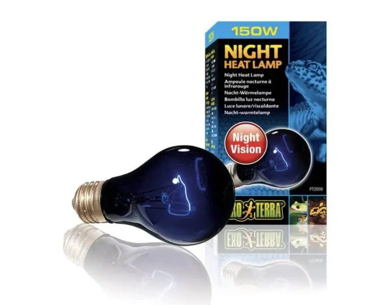 Nocne