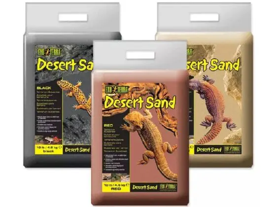 desert sand