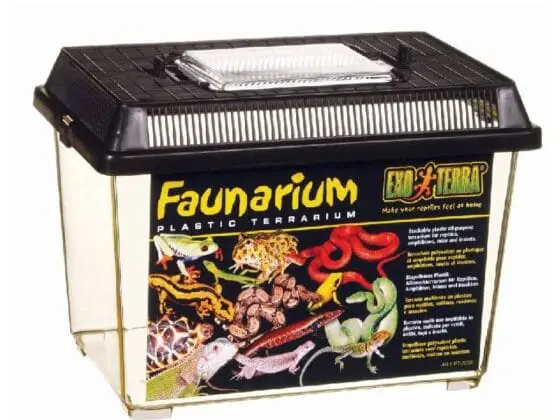 Faunarium dla małych gadów faunaria i transportery dla gadów