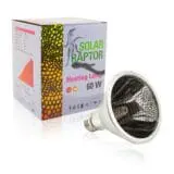 promiennik ciepła 60W solar raptor