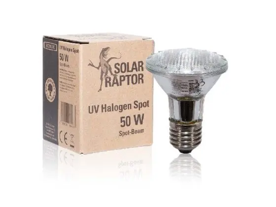 Żarówka halogenowa Solar Raptor 50W uva