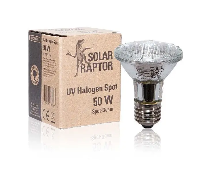 Żarówka halogenowa Solar Raptor 50W uva