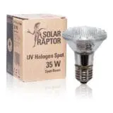 Żarówka halogenowa do terrarium Solar Raptor