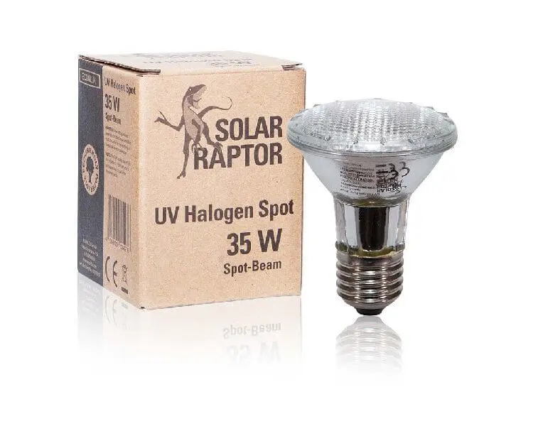 Żarówka halogenowa do terrarium Solar Raptor