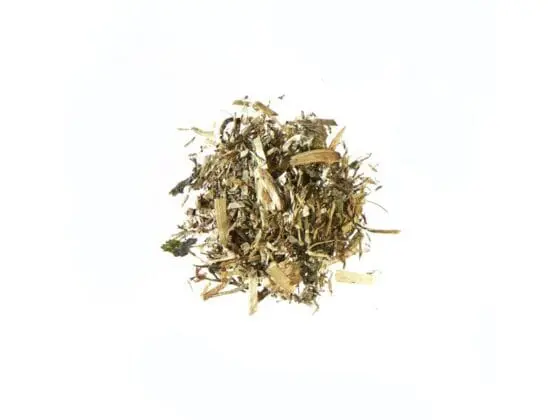 Testudo Fibre dla żółwi lądowych 250g - obrazek 2