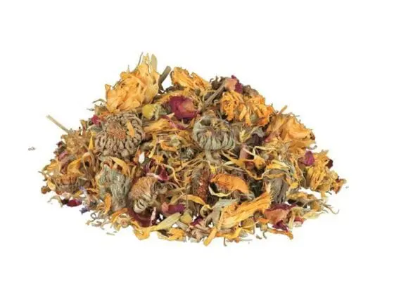 Mieszanka ziół dla żółwi lądowych 75g - obrazek 2