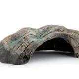 Jaskinia dla gadów, kryjówka Happet