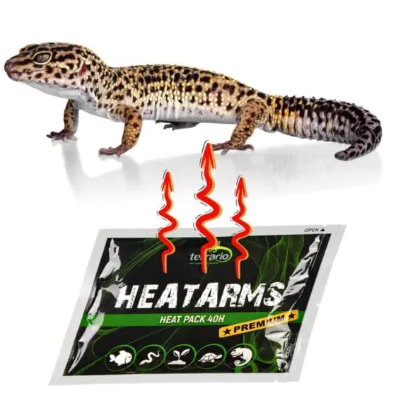 Terrario Heatarms Heat Pack 40H - obrazek 2