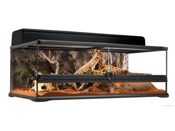 Terrarium szklane dla gadów pustynnych terrarium dla żółwia lądowego
