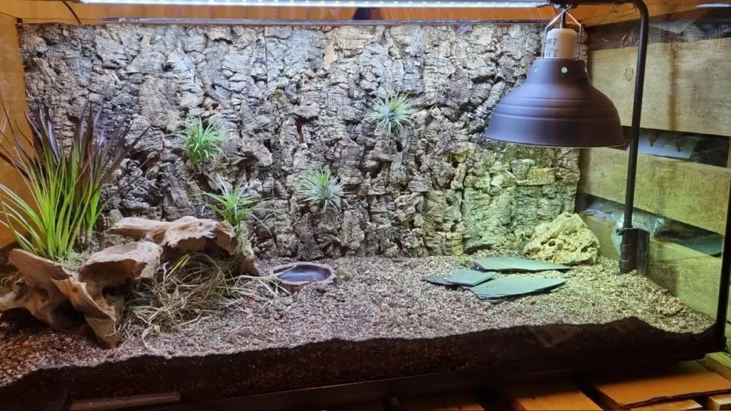 terrarium dla żółwia