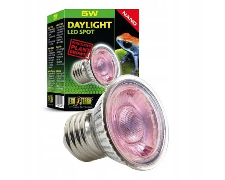 NANO Daylight Spot 5W