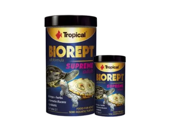 biorept supreme adult pokarm dla żółwia wodno-lądowego