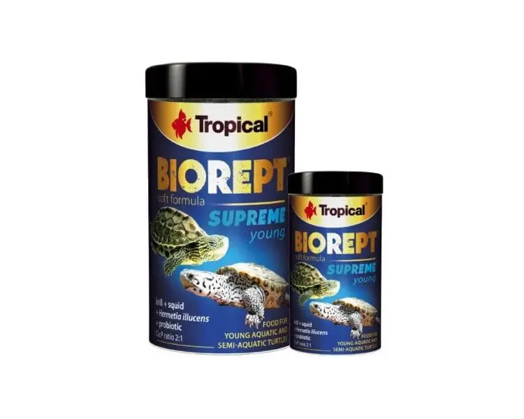 tropical supreme young dla młodych żółwi wodno-lądowych