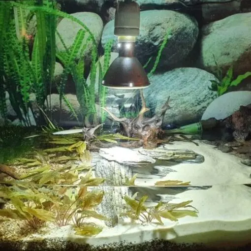 lampa dla żółwia wodno-lądowego do akwaterrarium