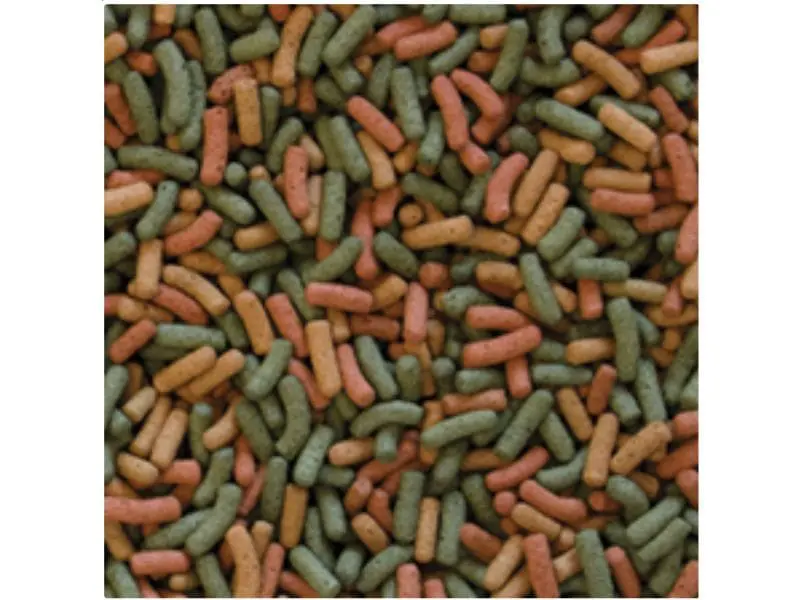 Tropical Biorept W. pokarm dla żółwia wodno-lądowego Tropical Biorept W. pokarm dla żółwia wodno-lądowego - obrazek 3