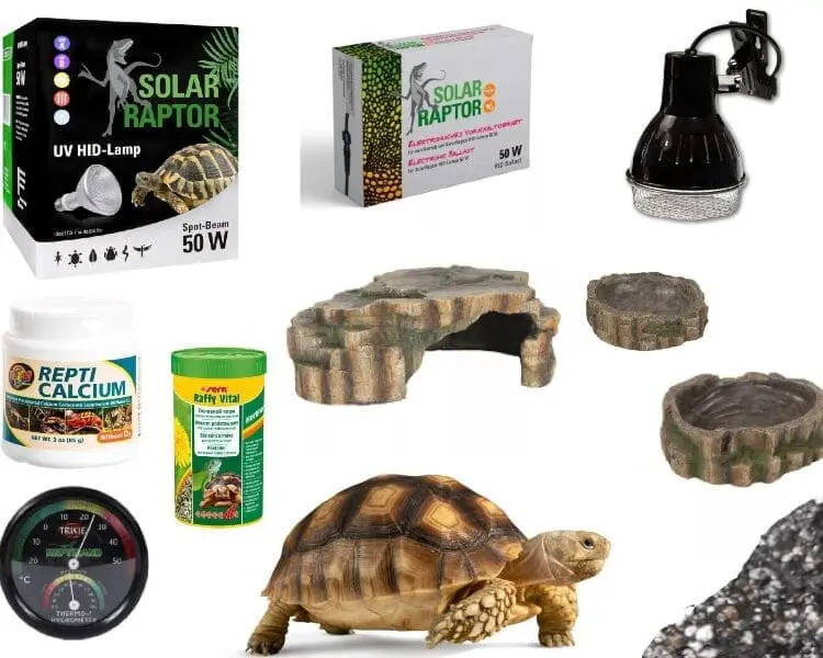 Zestaw Premium dla żółwia lądowego sklep terrarystyczny Katowice
