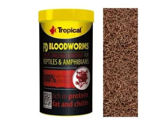 Tropical FD BLOOD WORMS larwy ochotki - obrazek 2