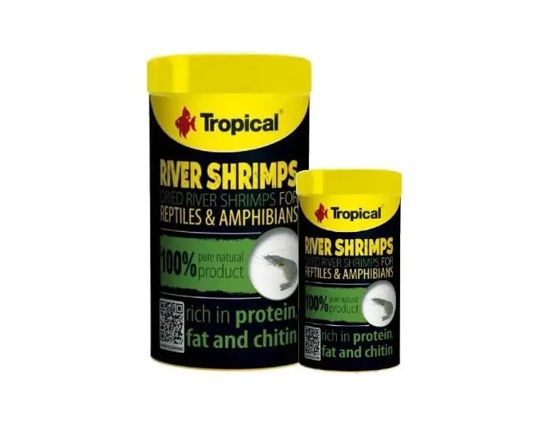 tropical river shrimps