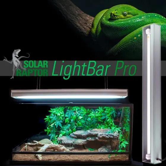 Oprawa T5 Solar Raptor LightBar Pro (918mm) - obrazek 4