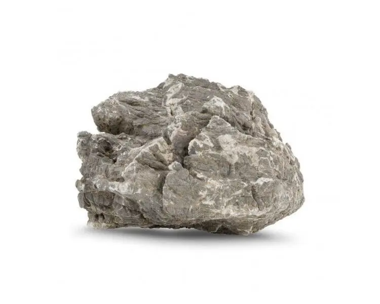 kamień Skała skorupa żółwia do terrarium