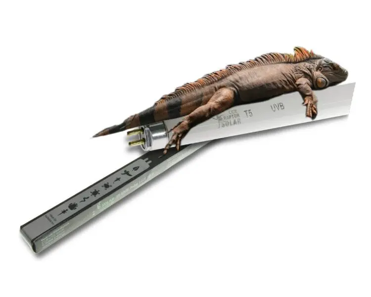 świetlówka t5 UVB Solar raptor dla gadów pustynnych